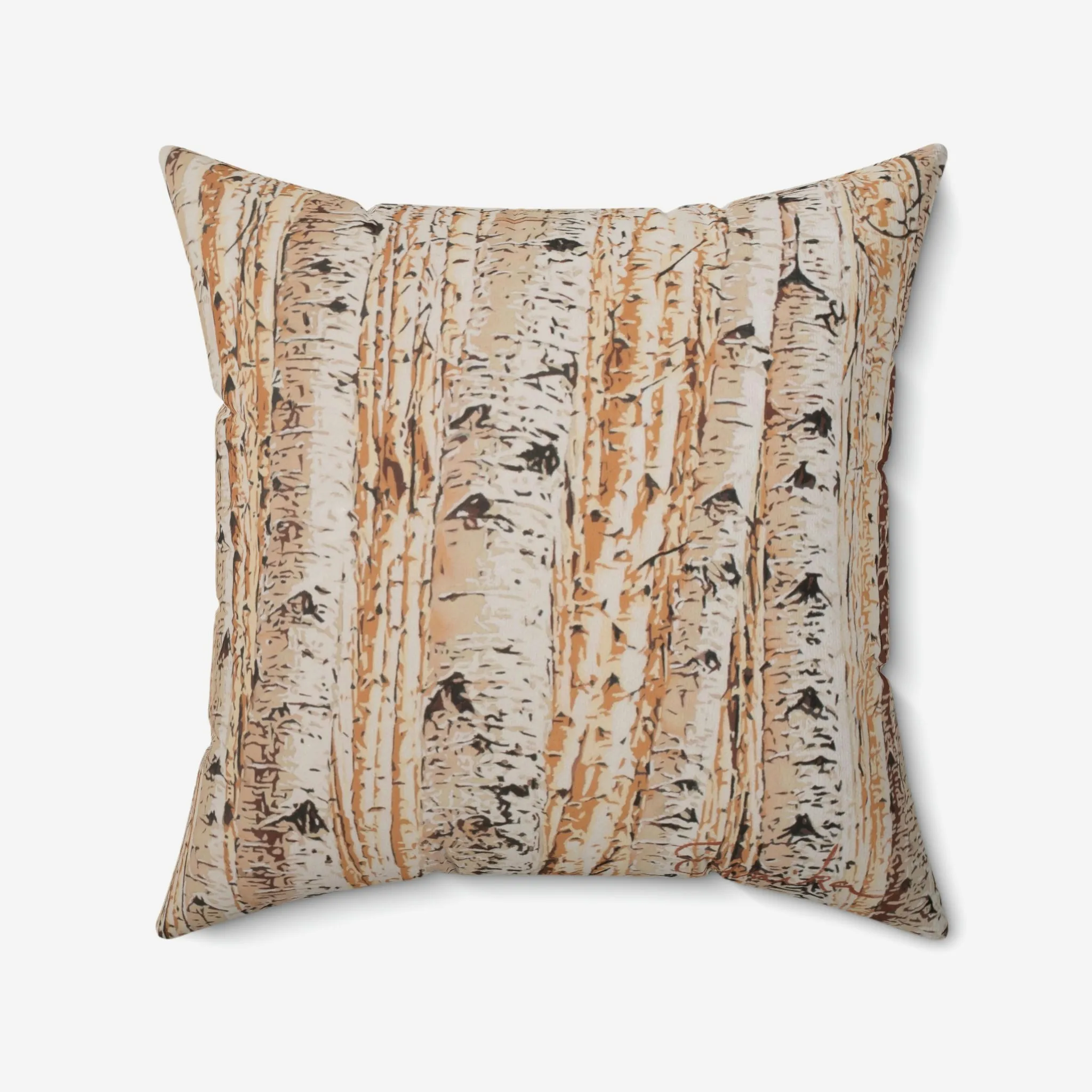 All We Can't See Pillow
